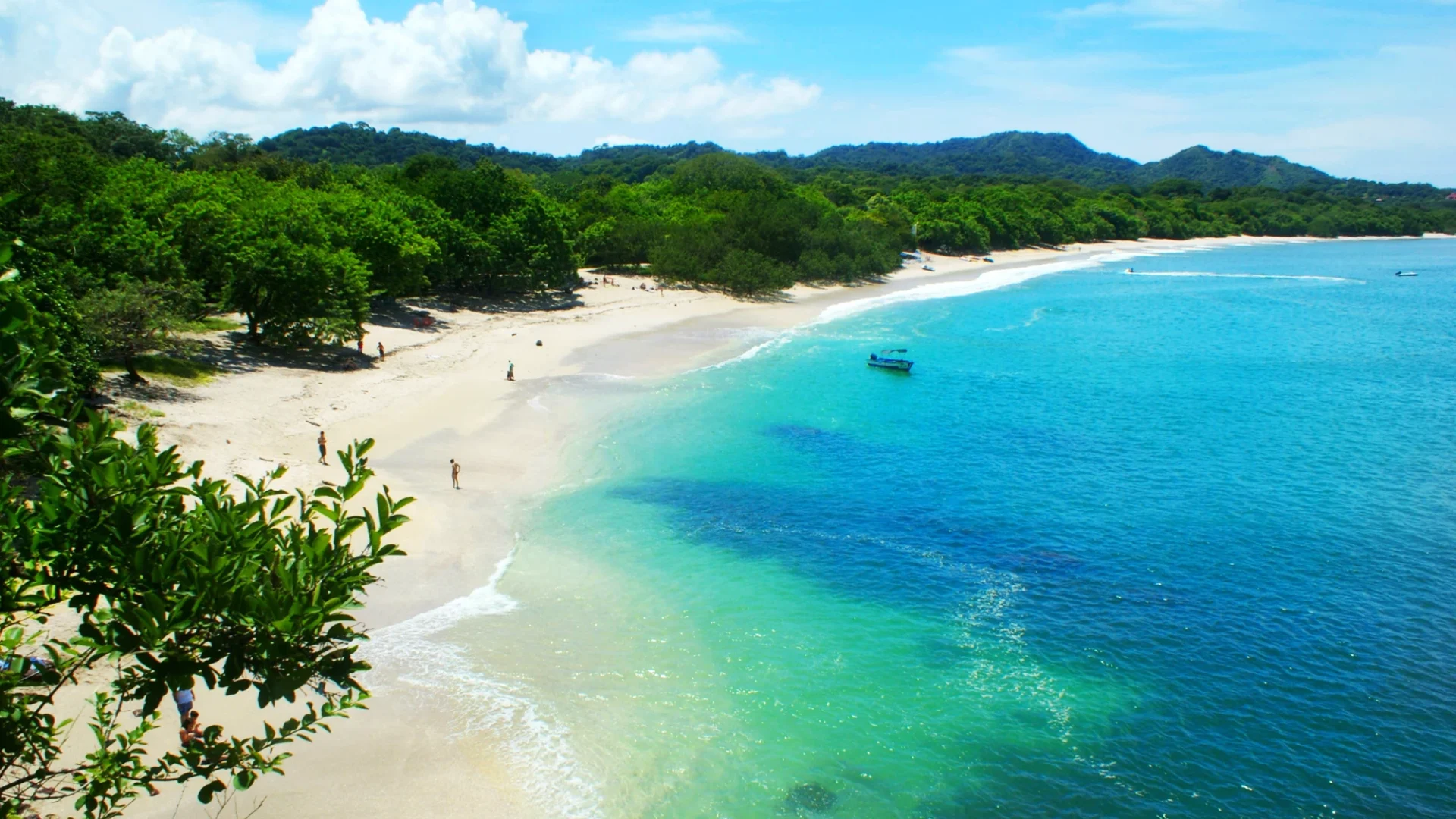 Imagen de Playa Carrillo en Costa Rica en la que aparece una frondosa vegetación, arena blanca y agua en tonos azul intenso y turquesas