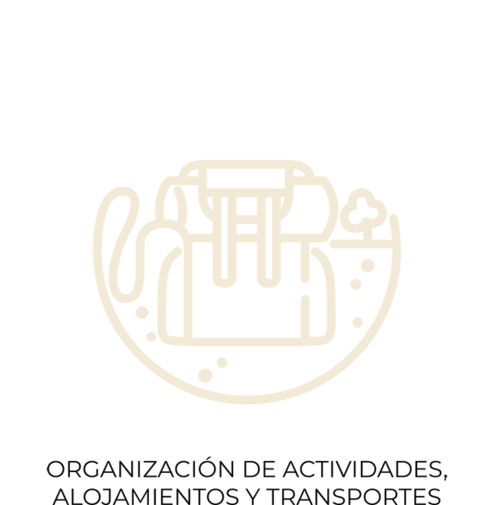 Organización de actividades, alojamientos y transportes